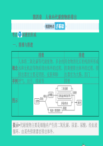 （滨州专版）山东省2019年中考生物总复习 第三单元 生物圈中的人 第四章 人体内代谢废物的排出课件