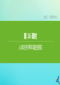 （北京专版）2020中考生物复习方案 主题五 生物圈中的人 第16课时 人体对外界环境的感知课件