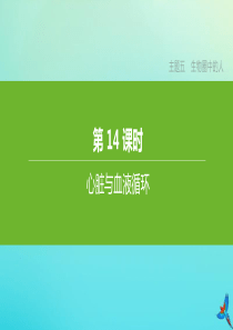 （北京专版）2020中考生物复习方案 主题五 生物圈中的人 第14课时 心脏与血液循环课件