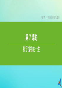 （北京专版）2020中考生物复习方案 主题四 生物圈中的绿色植物 第07课时 被子植物的一生课件