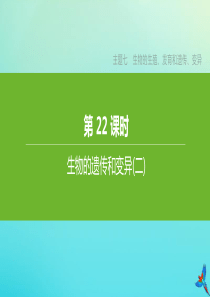 （北京专版）2020中考生物复习方案 主题七 生物的生殖、发育和遗传、变异 第22课时 生物的遗传和