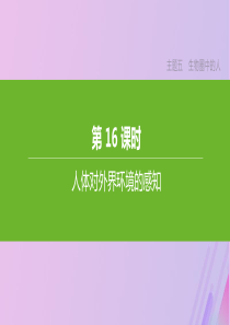 （北京专版）2020年中考生物复习 主题五 生物圈中的人 第16课时 人体对外界环境的感知课件