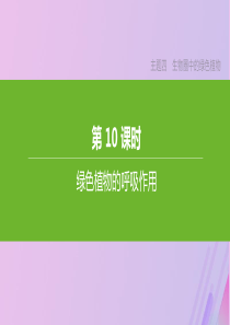 （北京专版）2020年中考生物复习 主题四 生物圈中的绿色植物 第10课时 绿色植物的呼吸作用课件