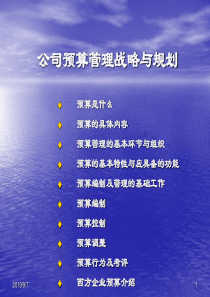 公司预算管理战略与规划