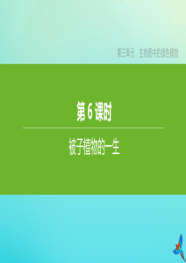 （包头专版）2020中考生物复习方案 第三单元 生物圈中的绿色植物 第06课时 被子植物的一生课件