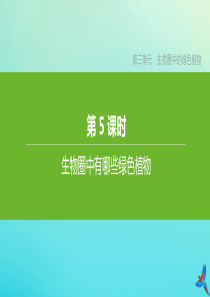 （包头专版）2020中考生物复习方案 第三单元 生物圈中的绿色植物 第05课时 生物圈中有哪些绿色植