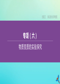 （包头专版）2020中考化学复习方案 主题三 身边的化学物质 专项06 物质变质的实验探究课件