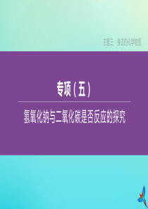 （包头专版）2020中考化学复习方案 主题三 身边的化学物质 专项05 氢氧化钠与二氧化碳是否反应的