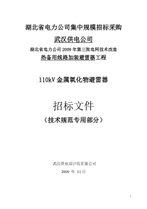 湖北省电力公司集中规模招标采购