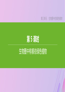 （包头专版）2020年中考生物复习 第三单元 生物圈中的绿色植物 第05课时 生物圈中有哪些绿色植物