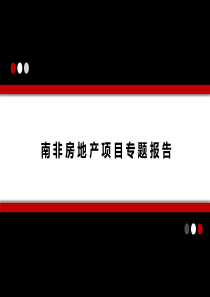 南非房地产项目分析报告（PPT41页)