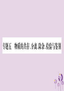 重庆市2019年中考化学复习 第二部分 重难题型专题突破 专题五 物质的共存、分离、除杂、检验与检验