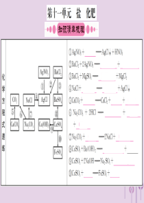云南省2018中考化学一轮考点复习 第十一单元 盐、化肥课件