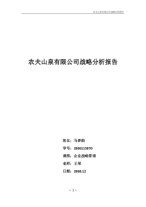 农夫山泉有限公司战略分析报告