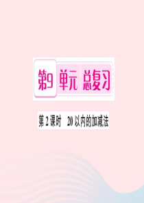 一年级数学上册 第9单元 总复习（第2课时 20以内的加减法）习题课件 新人教版