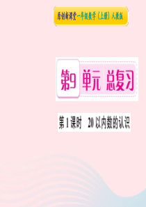 一年级数学上册 第9单元 总复习（第1课时 20以内数的认识）习题课件 新人教版