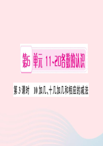 一年级数学上册 第６单元 11-20各数的认识（第3课时 10加几、十几加几和相应的减法）习题课件 