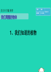 一年级科学下册 我们周围的物体 1.1《发现物体的特征》课件 教科版