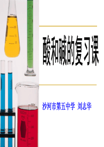 酸和碱复习课件说课稿