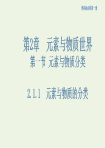 新教材高中化学 2.1.1 元素与物质的关系 物质分类与物质性质课件（2）鲁科版必修第一册