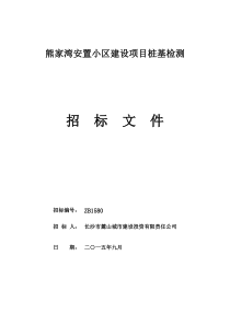 熊家湾安置小区建设项目桩基检测招标文件XXXX923