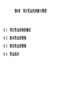 项目融资的资金来源与结构