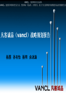 凡客诚品(vancl)战略规划报告