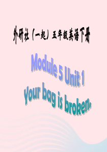 五年级英语下册 Module 5 unit 1 your bag is broken课件3 外研版（