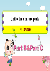 五年级英语上册 Unit 6 In a nature park PB Let’s talk课件 人教