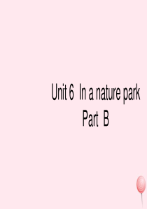 五年级英语上册 Unit 6 In a nature park Part B习题课件1 人教PEP