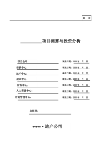 项目计划与投资分析模版