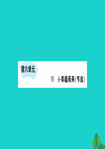 四年级语文下册 第六单元 18 小英雄雨来（节选）课件 新人教版