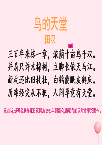 四年级语文上册 第一组 3《鸟的天堂》课堂教学课件2 新人教版