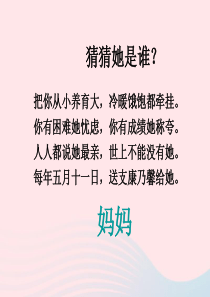 四年级语文上册 第六组 23《卡罗纳》课堂教学课件1 新人教版