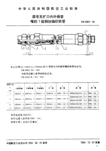 HB 6961-1994 装有无扩口内外锥管嘴的1组钢丝编织软管