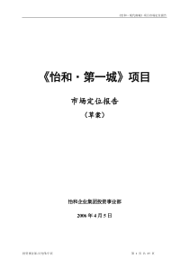 某商业地产项目的市场定位报告