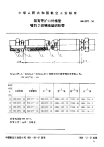 HB 6972-1994 装有无扩口外锥管嘴的2组棉线编织软管