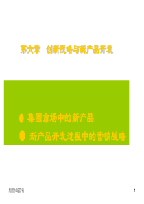 创新战略与新产品开发（PPT56页）