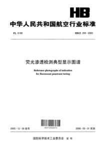 HB Z 359-2005 荧光渗透检测典型显示图谱 