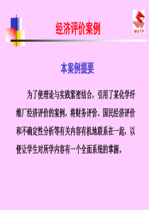 项目评估案例分析