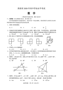 2020年海南省中考数学试卷(含答案)