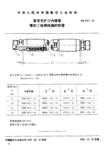 HB 6973-1994 装有无扩口内锥管嘴的2组棉线编织软管