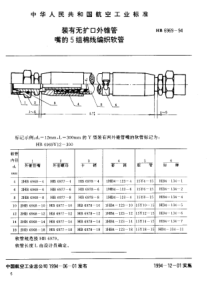 HB 6969-1994 装有无扩口外锥管嘴的5组棉线编织软管