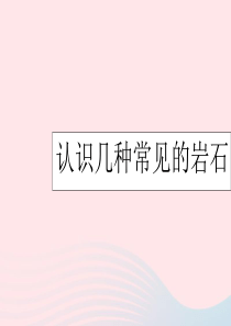 四年级科学下册 4 岩石和矿物 2 认识几种常见的岩石课件5 教科版