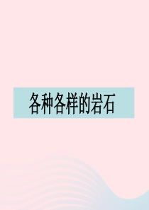 四年级科学下册 4 岩石和矿物 1 各种各样的岩石课件5 教科版