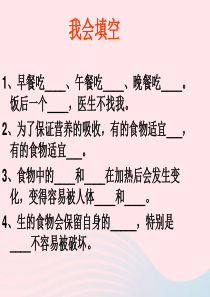 四年级科学下册 3 食物 5 面包发霉了课件 教科版