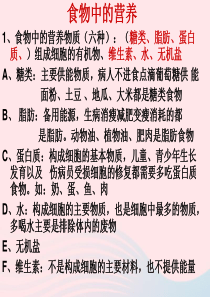 四年级科学下册 3 食物 2 食物中的营养课件7 教科版