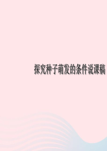 四年级科学下册 1.1《认识种子和研究种子萌发的条件》课件2 湘教版