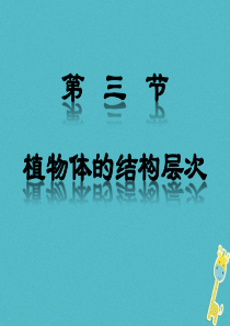 四川省南充市营山县七年级生物上册 2.2.3 植物体的结构层次课件 （新版）新人教版