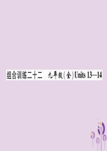 四川省南充市2019中考英语二轮复习 第一部分 教材知识梳理篇 九全 Units 13-14综合练课